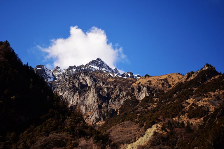 城乡|新型工农城乡关系是乡村振兴抓手