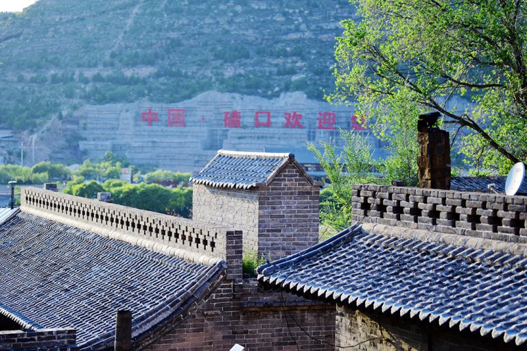 青柠商学院导师名单