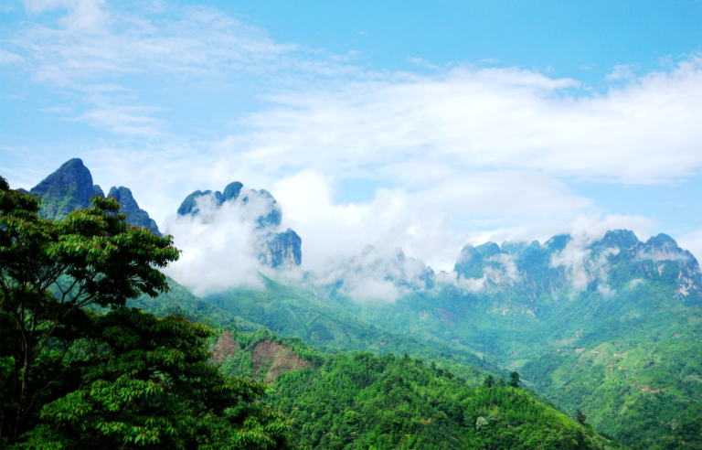 扶贫|碧桂园4+X扶贫观察报告